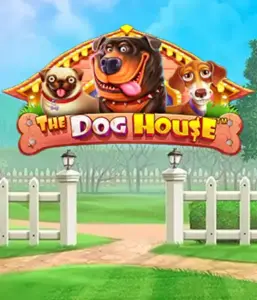 От Pragmatic Play представлен приключении The Dog House, демонстрирующий очаровательное путешествие с любимых собак. Наслаждайтесь функциях включая липкие "вайлды", направленных на доставления волнующих выигрышей. Отлично для тех, кто любит забавную атмосферу с шансом на крупные выигрыши.