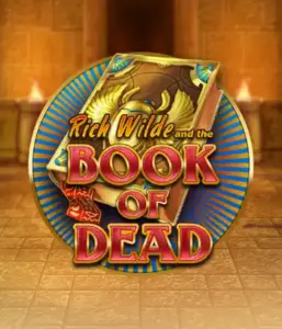 Начните захватывающий мир слота Book of Dead от Play'n GO, показывающий яркую графику приключений Рича Уайлда по древнеегипетским гробницам и артефактам. Найдите затерянные богатства с захватывающими механиками, такими как бесплатные вращения, расширяющиеся символы и возможность игры на риск. Идеально для исследователей, желающих раскопок секретов.
