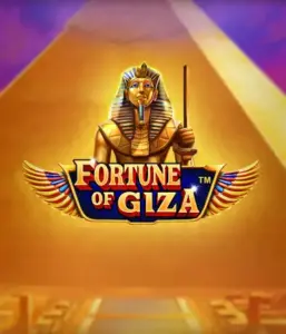 Отправьтесь назад во времени к древнего Египта с игрой Fortune of Giza от Pragmatic Play, демонстрирующим яркую визуализацию древних богов, иероглифов и пирамид Гизы. Испытайте это вечное приключение, которое предоставляет захватывающие игровые функции вроде бесплатных вращений, вайлд мультипликаторов и расширяющихся символов. Идеально подходит для любителей истории, ищущих большие выигрыши среди величия древнего Египта.